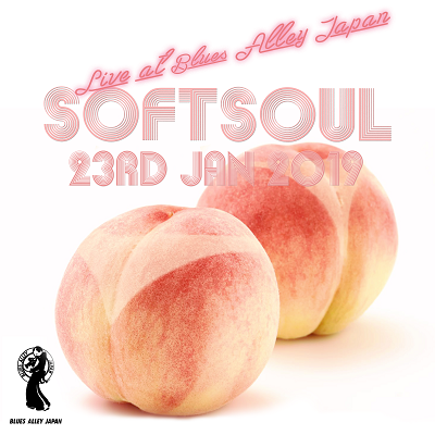 SOFT SOUL -LIVE Vol.17-